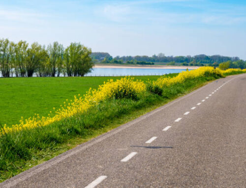 Maas en Waals CulltuurCafé